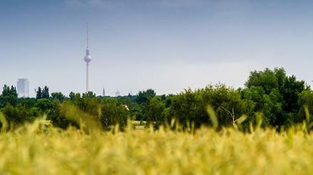 Die Innenstadt ist weit weg von Blankenfelde. 