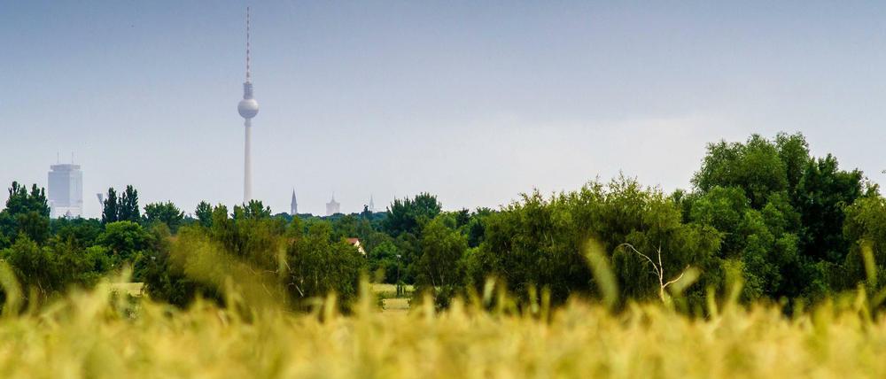 Die Innenstadt ist weit weg von Blankenfelde.
