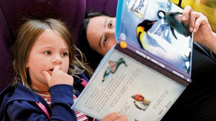 Das Leben von Pinguinen kann ziemlich spannend sein.