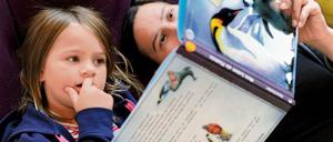 Das Leben von Pinguinen kann ziemlich spannend sein.