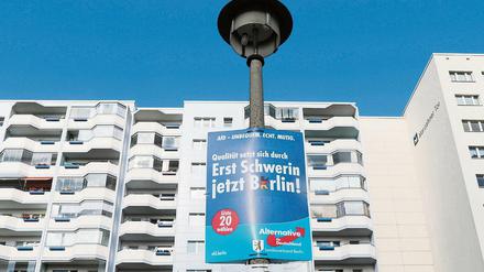 Wahlplakate der AfD hängen an einer Straßenlaterne.