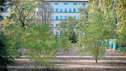 Wildwuchs statt Spielkultur. Die von Erich Mendelsohn geplante Anlage steht seit 1982 unter Denkmalschutz. 