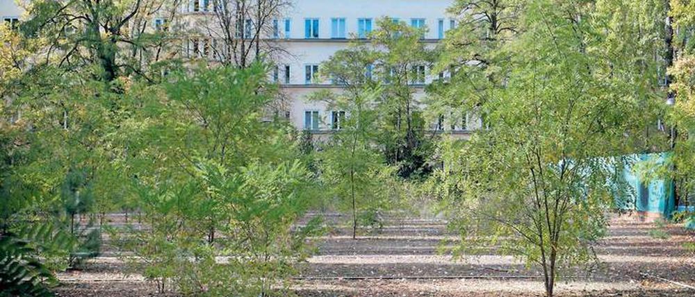 Wildwuchs statt Spielkultur. Die von Erich Mendelsohn geplante Anlage steht seit 1982 unter Denkmalschutz.