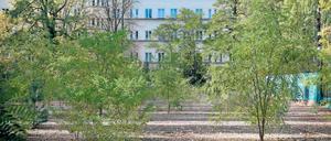 Wildwuchs statt Spielkultur. Die von Erich Mendelsohn geplante Anlage steht seit 1982 unter Denkmalschutz. 