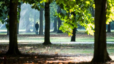 Herbst in Berlin. 