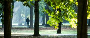 Herbst in Berlin. 