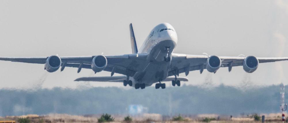 Abgehoben. Der Job im Flugzeug strengt an - und fordert reichlich Sozialkompetenz.