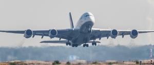  Abgehoben. Der Job im Flugzeug strengt an - und fordert reichlich Sozialkompetenz.