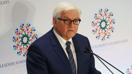 Außenminister Frank-Walter Steinmeier fordert eine Flugverbotszone über ganz Syrien.