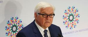 Außenminister Frank-Walter Steinmeier fordert eine Flugverbotszone über ganz Syrien.
