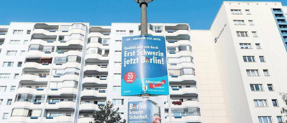 Blaues Wunder.