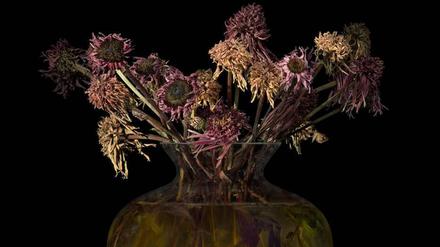 Marc Junghans "Metabolic Pathways III", 2013 (Fotografie).