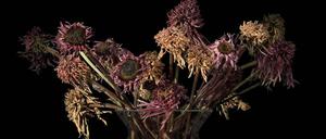 Marc Junghans "Metabolic Pathways III", 2013 (Fotografie).