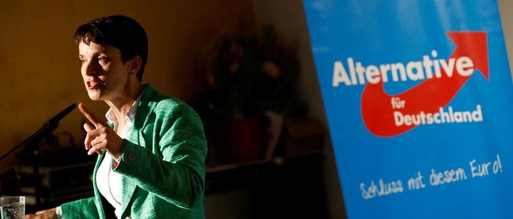 Aussichtsreicher Direktwahlkreis in Sachsen gesucht: Frauke Petry, Bundesvorsitzende der AfD 