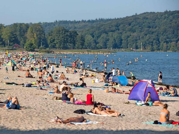 Ostseestrand in Schleswig-Holstein.