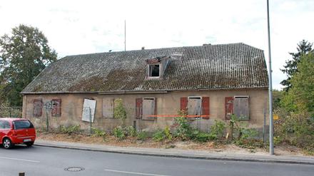 Nach der Rodung des Wildwuchses ist das Haus wieder zu erkennen.