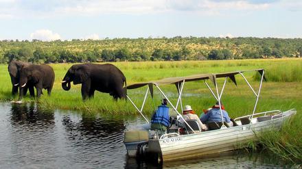 Der Tourismus, vor allem die teuren Safaris wie hier im Chobe-Nationalpark, ist eine der wichtigen Einnahmequellen.