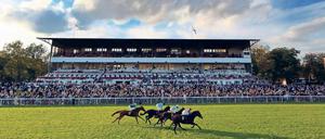 … und manchmal regnet es auch. Hoppegarten hat eine lange Geschichte und eine holprige Gegenwart. Aber seit ein paar Jahren geht die Kurve nach oben.
