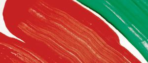 Könnte nach dem Willen der Linken vielleicht bald Wirklichkeit werden: eine rot-rot-grüne Regierung für Berlin.