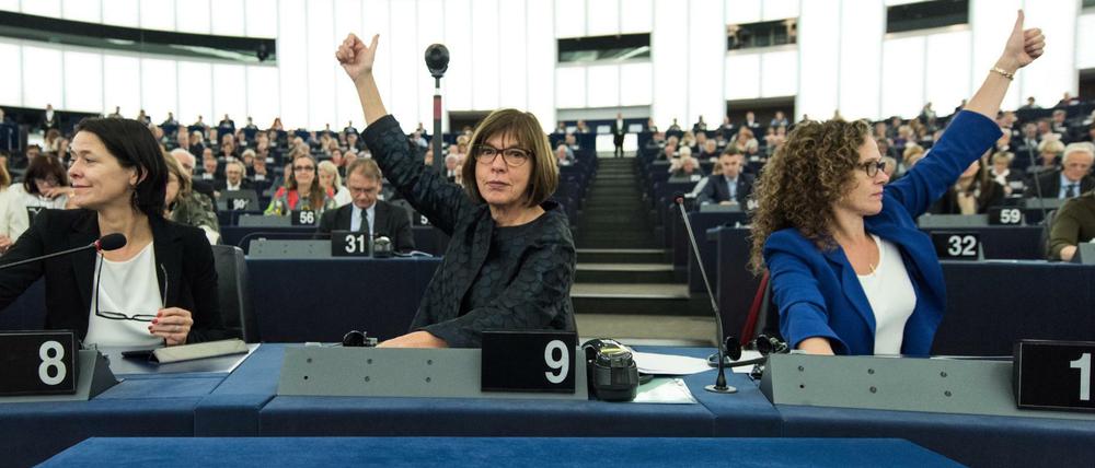 Abstimmung im Europaparlament in Straßburg zum Weltklimavertrag. Auch die deutsche Rebecca Harms (M.) von den Grünen stimmte ab.