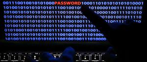 Abzocke am PC. Immer mehr Betrüger sind im Netz unterwegs.