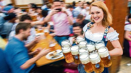 Eine anthropologische Theorie besagt, dass sich der Jäger und Sammler nur zum Ackerbau hat bekehren lassen, weil das die Grundlage dafür bot, Bier herzustellen. 