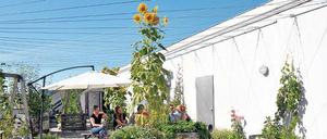 Pause unter Blumen. Der Dachgarten der Firma dan pearlman für Architektur und Design in der Treptower Kiefholzstraße wird von den Prinzessinnengarten-Machern betreut.