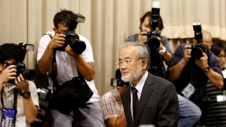 Star der Wissenschaft. Yoshinori Ohsumi am 3. Oktober 2016 auf dem Weg zur Pressekonferenz. 