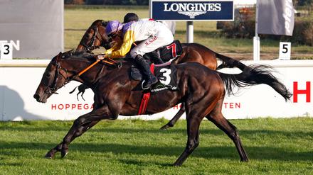 Devastar mit Martin Seidl gewinnt den 26. Preis der Deutschen Einheit. Galopprennbahn Hoppegarten. 