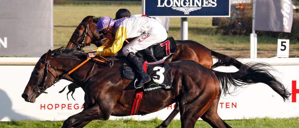 Devastar mit Martin Seidl gewinnt den 26. Preis der Deutschen Einheit. Galopprennbahn Hoppegarten.