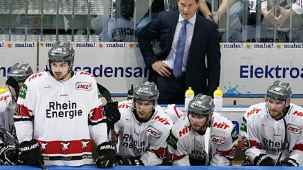 Gut gestartet. Trainer Cory Clouston und die Haie haben vier von fünf Spielen gewonnen. 