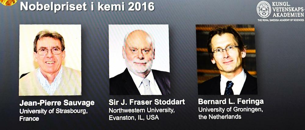 Moment der Wahrheit. Die Preis-Verkündung durch das Stockholmre Nobelpreis-Komitee.