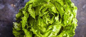 Die Endivie hat von Oktober bis März Saison.