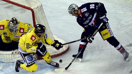 Spencer Machacek (r) von den Eisbären Berlin und Torwart Niklas Treutle (l) und Mike Collins von den Krefeld Pinguinen kämpfen um den Puck.
