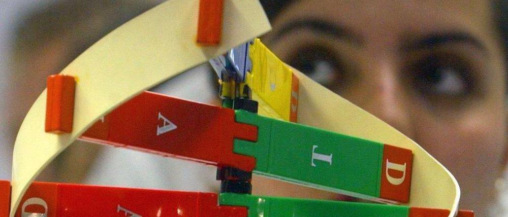 Forschen als Beruf. Frauen haben geringere Chancen auf eine Professur - und erst recht, auf eine Professur in der höchsten Besoldungsstufe. 