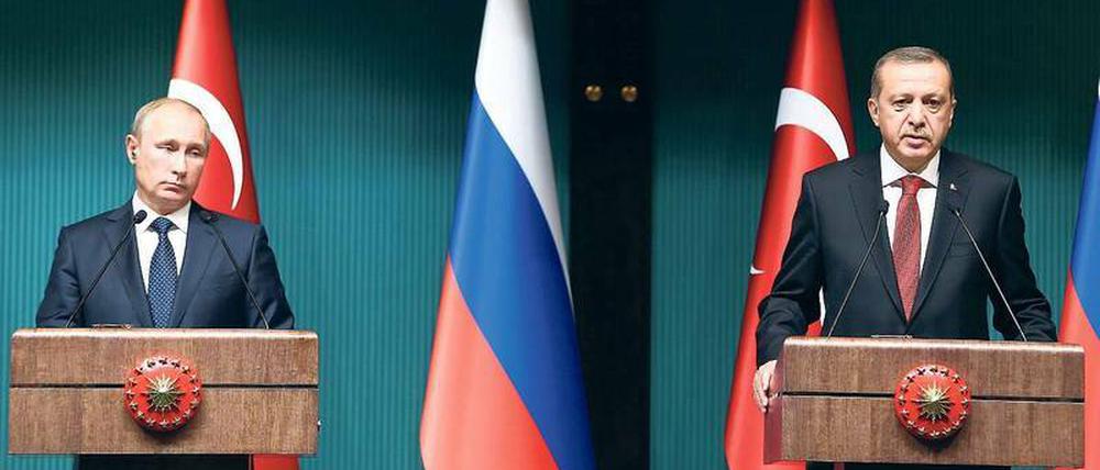 Putin und Erdogan wollen, dass ihre Länder wieder kooperieren – in wirtschaftlichen und politischen Fragen.