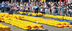 Alles Käse! Von April bis Anfang September findet in Alkmaar in den Niederlanden der große Käsemarkt statt. Ein Spektakel, das Touristen aus der ganzen Welt anzieht. 