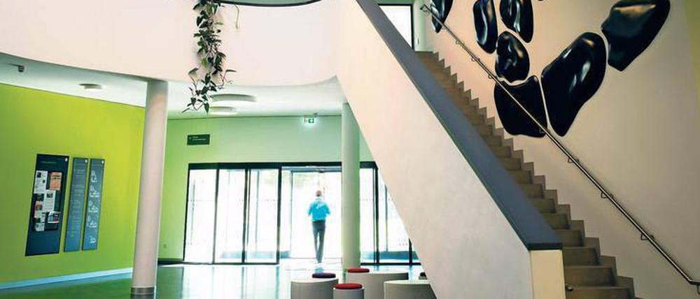 Im lichtdurchfluteten Foyer der „Amöbe“ symbolisiert das Kunstwerk von Kathrin Wegemann einen losen Zellverband.