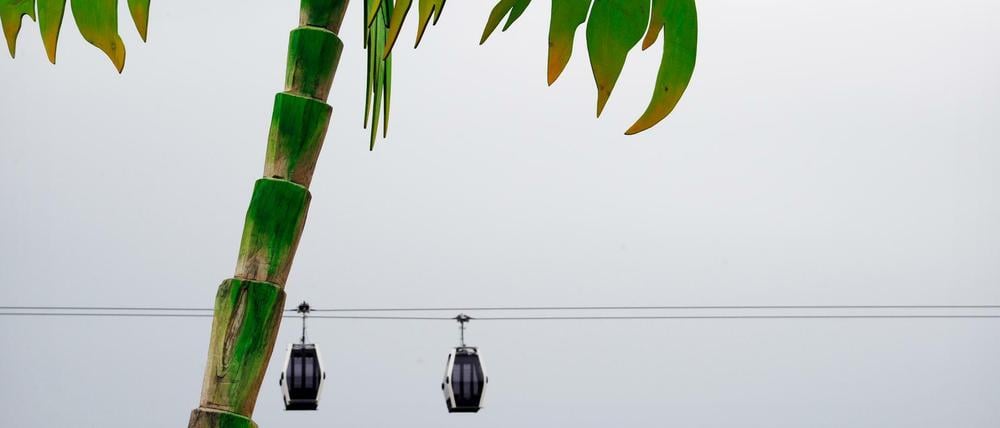 Die Seilbahn schwebt schon, aber fährt noch nicht. Die Palme gehört zum Wasserspielplatz "Konrad rettet die Südsee".