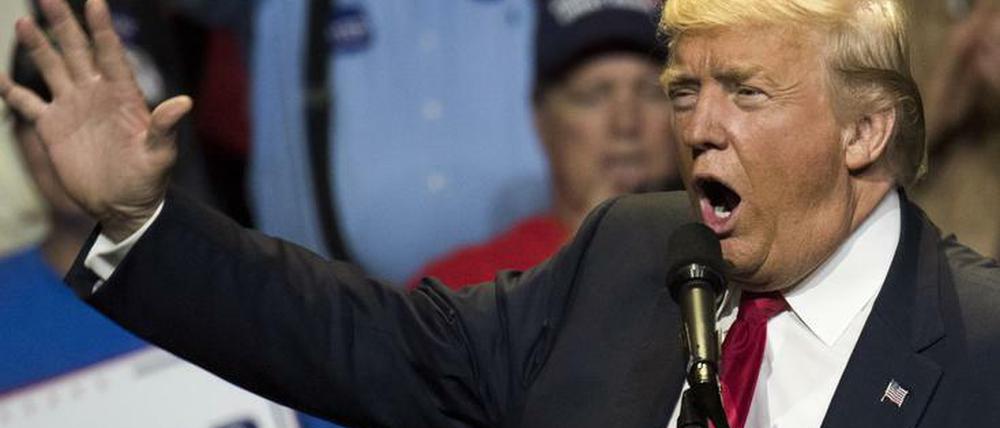 Lauter, schriller, wilder: Donald Trump im Wahlkampf.