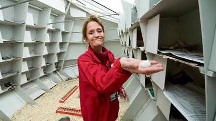 Tierpflegerin Ines Steinkamp kümmert sich um die Tauben im "City-Loft". Die Eier tauscht sie regelmäßig gegen Attrappen aus.