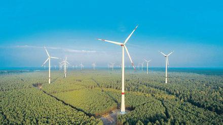 Ein großes Rad. Durch die neuen Ausschreibungen haben es vor allem kleine Betreiber von Windparks schwer.  Sie könnten vom Markt verschwinden. 