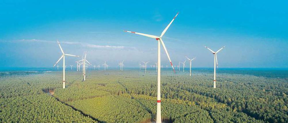 Ein großes Rad. Durch die neuen Ausschreibungen haben es vor allem kleine Betreiber von Windparks schwer.  Sie könnten vom Markt verschwinden. 