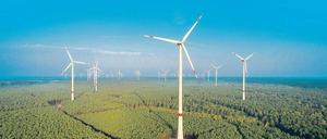 Ein großes Rad. Durch die neuen Ausschreibungen haben es vor allem kleine Betreiber von Windparks schwer.  Sie könnten vom Markt verschwinden. 