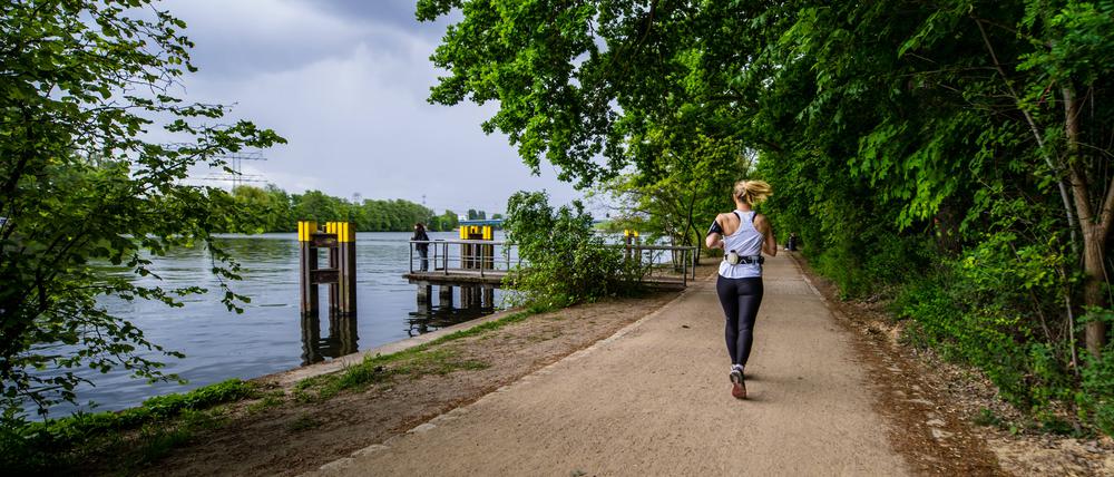 Am Wasser läuft es sich leichter. Wer durch den Treptower Park joggt, kann die Stille am Ufer genießen.