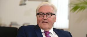 Außenminister Frank-Walter Steinmeier (SPD)