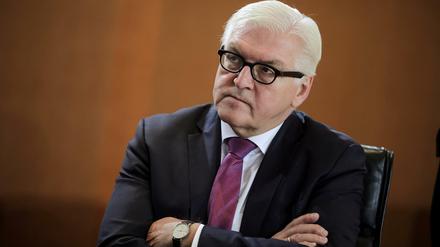 Bundesaußenminister Frank-Walter Steinmeier (SPD).