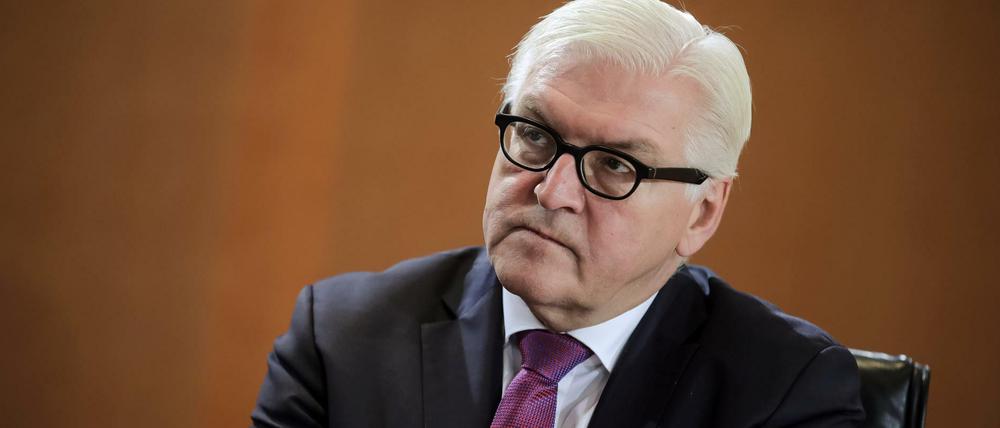 Bundesaußenminister Frank-Walter Steinmeier (SPD).