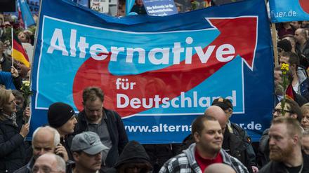 In Neukölln stellt die AfD bald den Stadtrat für Umwelt.