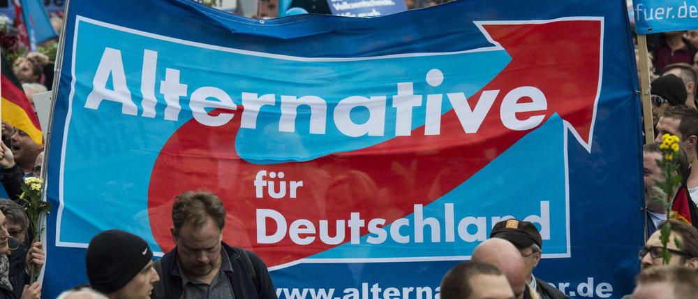 In Neukölln stellt die AfD bald den Stadtrat für Umwelt.